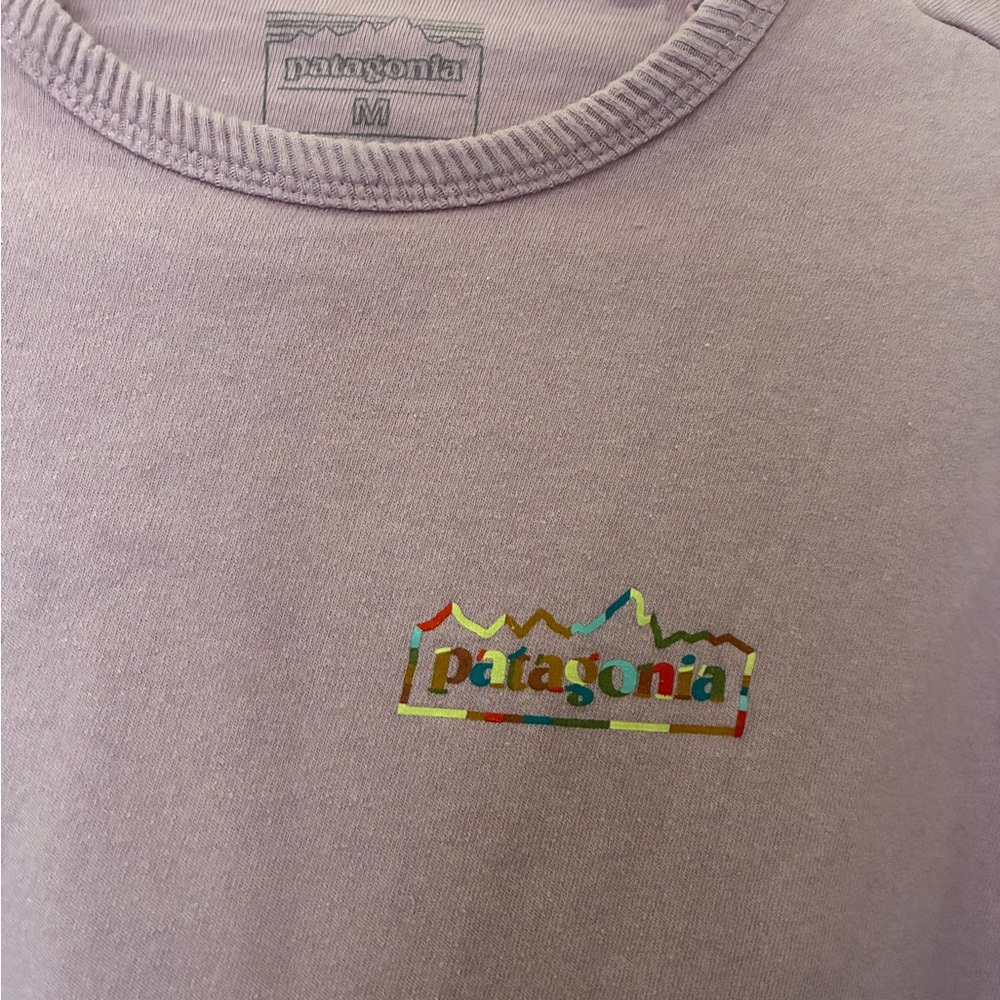 Patagonia Lightweight Unity Fitz Wildrise Crew - Picture 4 of 7